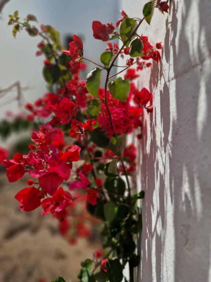 科拉雷侯Casa Vivi Fuerteventura公寓 外观 照片